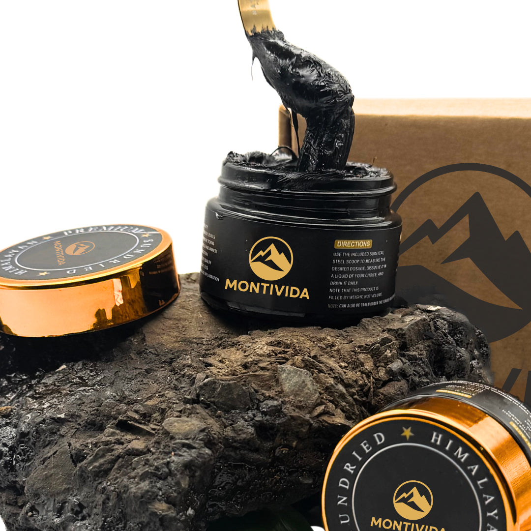 Montivida Resin Shilajit 30 g