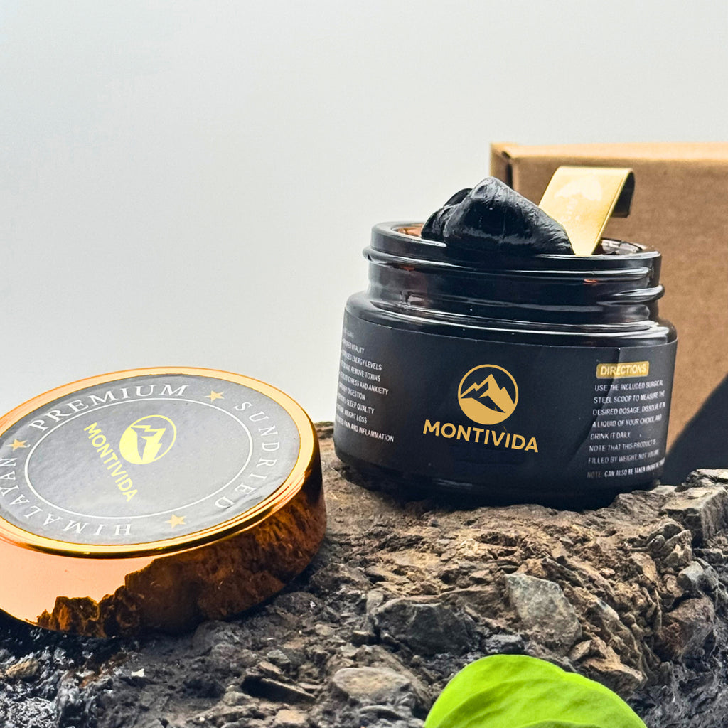 Montivida Resin Shilajit 30 g