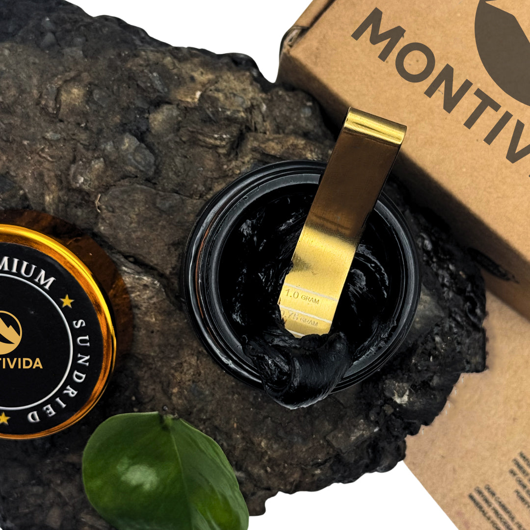 Montivida Resin Shilajit 30 g